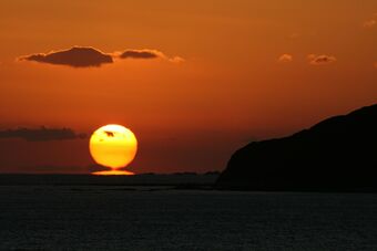 Pension Sea Side Lodge Ki No-kujira