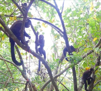 Posada Soluna Espa�o Veg
