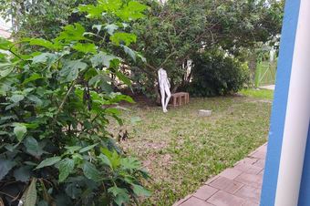 Hotel Birosca Do Chef Floripa