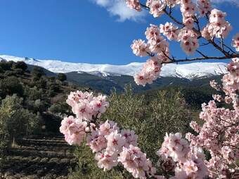 Hotel Molino De Enmedio