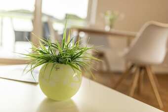 Apartamentos Ferienwohnungen Am M�hlenberg