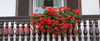 Hotel G�stehaus Alpengru�