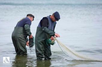 Apartamento Foerster Schroedter Strasse Fewo 17