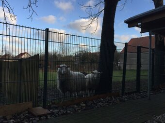 Ferienwohnung Romance