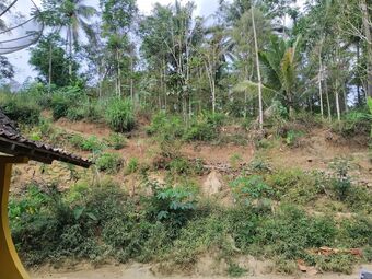 Hotel Homestay Pojok