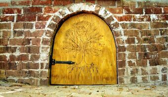 Hostal Lost River Hostel