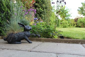 Bed & Breakfast The Vine B & B