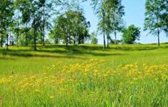 House With 5 Bedrooms In Cerrac�n, With Wonderful Mountain View And Furnished Terrace - 2 Km From The Beach