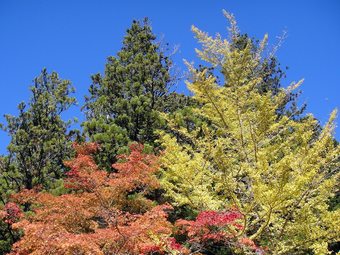 Hostal Riverside Hostel B&B ? Hostel