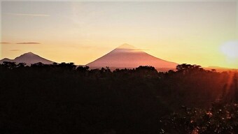 Hotel Villa Green Ponci Bedugul
