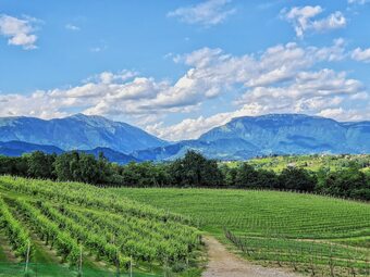 Agroturismo Tenuta Mani Sagge