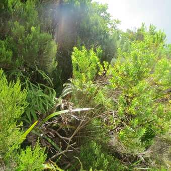 Apartamento Studio In Sainte-suzanne, With Furnished Balcony And Wifi