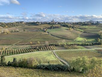 Hotel Laficaia Wine Resort