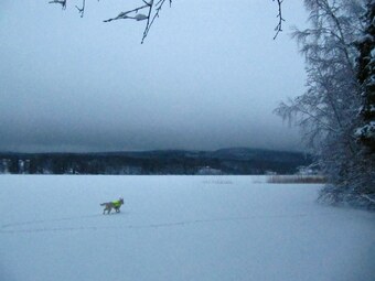 Bed & Breakfast Tv� Ekar G�rd