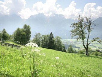 Chalet In Iselsberg-stronach With Fireplace, Garden, Parking