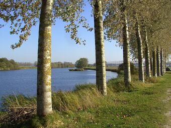 Luxurious Mansion In Sint-laureins Near Forest