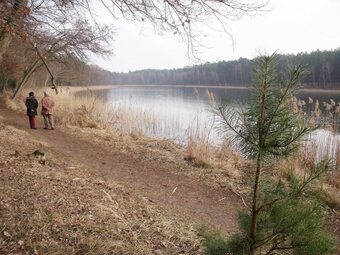 Spacious Holiday Home In Sommerfeld Near Lake