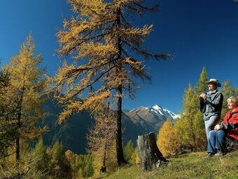 Modern Apartment In Kolbnitz With Terrace