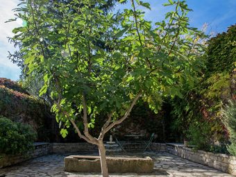 Villa Lovely Holiday Home In Th�zan-l�s-b�ziers Near Town Centre