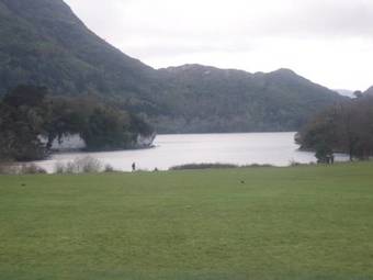 The Purple Heather B&B