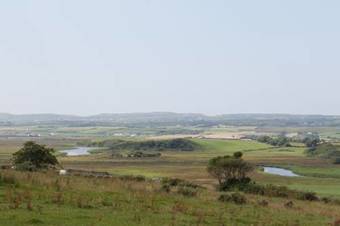Bed & Breakfast Grovemount House