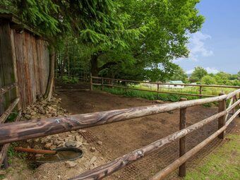 Luxurious Farmhouse In Hellenthal Near Ski Resort