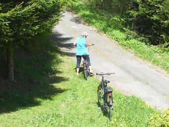 Apartamentos Quiet, Relaxation And Cosiness; Appartment In The Erzgebirge With A Nice Terrace