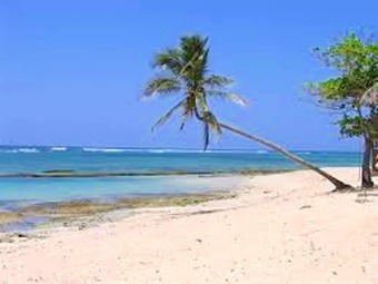 Villa With 3 Bedrooms In Le Moule, With Private Pool, Enclosed Garden And Wifi - 200 M From The Beach