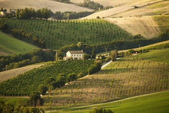 Apartment With One Bedroom In Provincia Di Ancona, With Shared Pool And Wifi