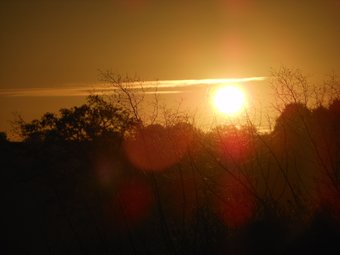 Hotel Chambre D'hotes La Basse Gougeonni�re