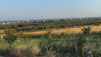 Apartamento Gunebakan Evleri