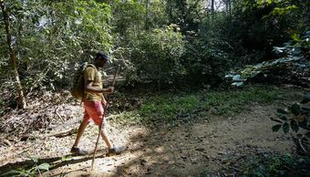 Hotel Yuhibuhi Forest Resort