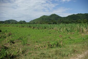 Hotel Sunset Heal Jamaica