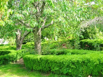 Apartment With One Bedroom In Valpedre, With Shared Pool And Balcony