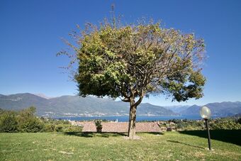 Villa Oasi Di Castelveccana