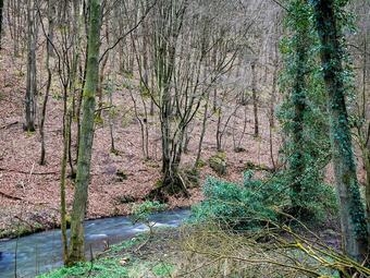 Spacious Holiday Home In La Reid With Terrace And Garden