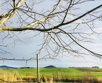 Bed & Breakfast Podere Casa Bianca