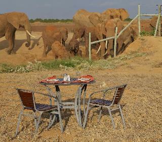 Hotel Ashnil Aruba Lodge