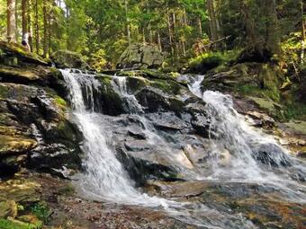 Hotel Pension Bayerwald