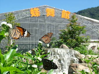 Hotel Tai-yi Red Maple Resort