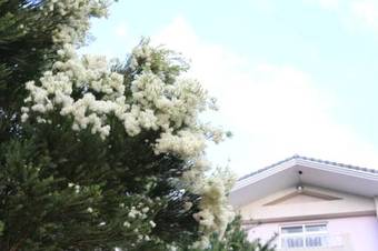 Bear Meets Moose Homestay B&B