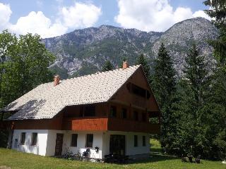 Hotel Apartmaji In Sobe Bohinjsko Jezero