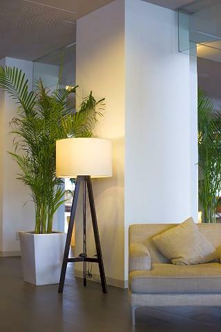 Hotel Resorts Kyoto Myazu