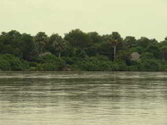 Hotel Selous Wilderness Camp