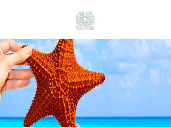 Hotel The Reef Resort