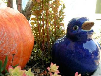 Hotel Garni Rosa Delle Alpi