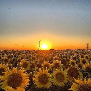 Hotel Best Western El-quartelejo Inn & Suites