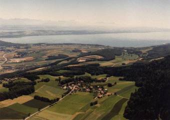 Hotel H�tel Du Chasseur