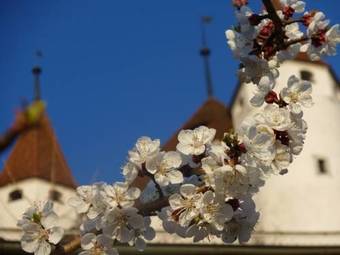 Hotel Restaurant Schwert Thun