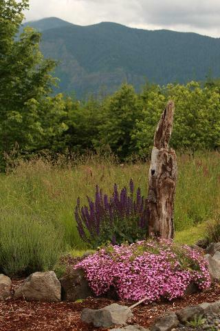 Hotel Carson Ridge Private Luxury Cabins